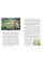 Paintings in Proust
