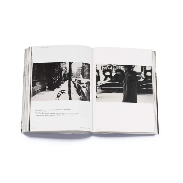 All About Saul Leiter