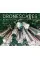 Dronescapes . The New Aerial Photography from Dronestagram