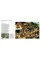 Art in Detail . 100 Masterpieces