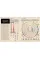 World War II. Infographics