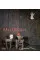 Ballenesque.Roger Ballen. A Retrospective
