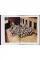 Found Photography. Photofile