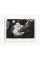 Letizia Battaglia - Photofile