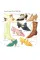 Shoes. The Complete Sourcebook