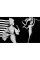 William Klein: Yes