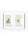 Goya Drawings