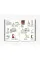 The Monocle Book of Italy