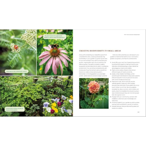 The Compact Garden