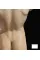 The Greek Body