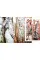 Pattern . 100 Fashion Designers, 10 Curators
