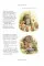 The Complete Peter Rabbit Library Box Set With 23 Volumes