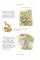 The Complete Peter Rabbit Library Box Set With 23 Volumes