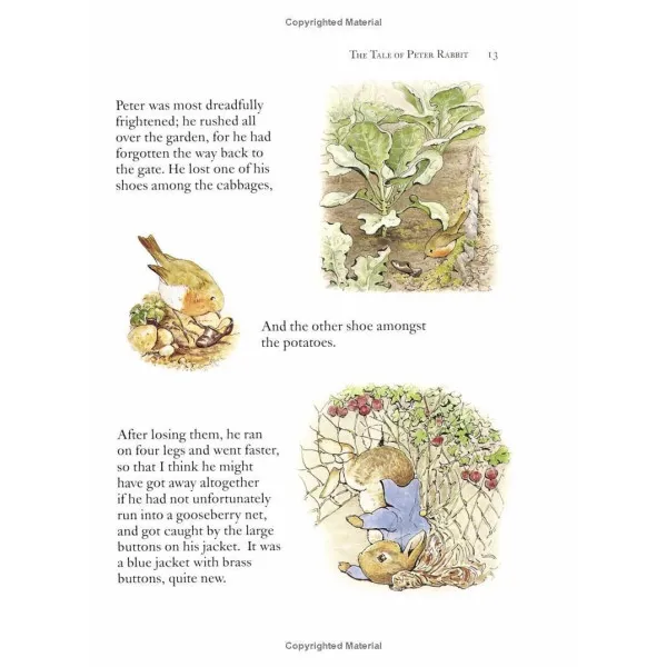 The Complete Peter Rabbit Library Box Set With 23 Volumes