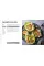 The Bodybuilder’s Meal Prep Cookbook