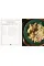 Old Time Hawkey's Recipes from the Cedar Swamp