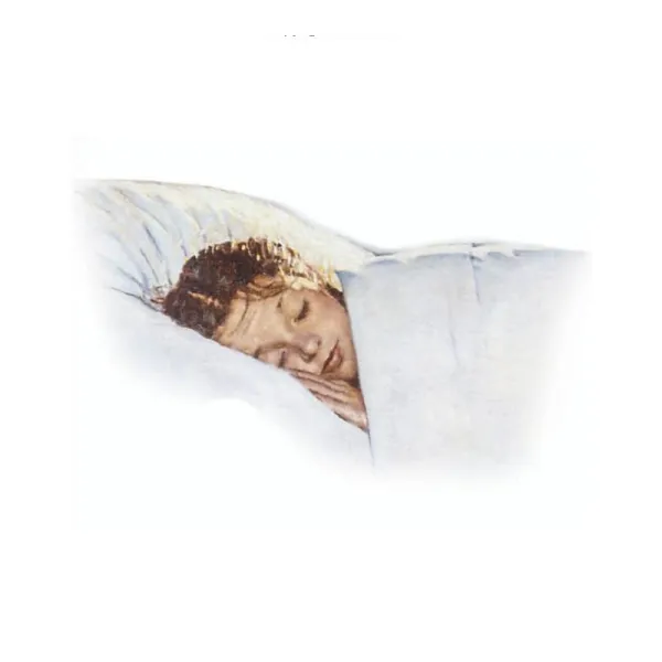 Norman Rockwell's A Day in the Life of a Girl