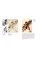 Norman Rockwell. Drawings, 1911-76