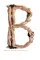 Head to Toe : The Nude in Graphic Design