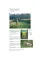 The Way Back : The Paintings of George A. Weymouth A Brandywine Valley Visionary