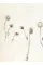 The Way Back : The Paintings of George A. Weymouth A Brandywine Valley Visionary