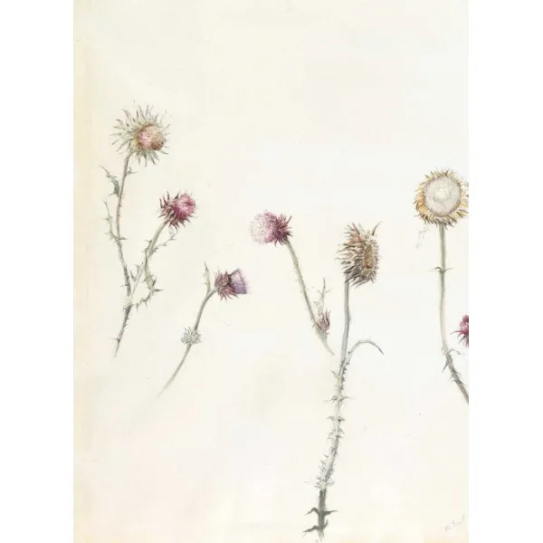 The Way Back : The Paintings of George A. Weymouth A Brandywine Valley Visionary