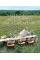 Fresh Air Affairs. Entertaining with Style in the Great Outdoors
