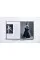 Ballerina : Fashion's Modern Muse