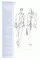 9 Heads : A Guide to Drawing Fashion by Nancy Riegelman