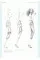 9 Heads : A Guide to Drawing Fashion by Nancy Riegelman
