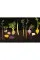 Photography of Modernist Cuisine