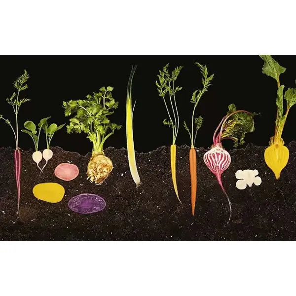 Photography of Modernist Cuisine