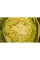 Photography of Modernist Cuisine