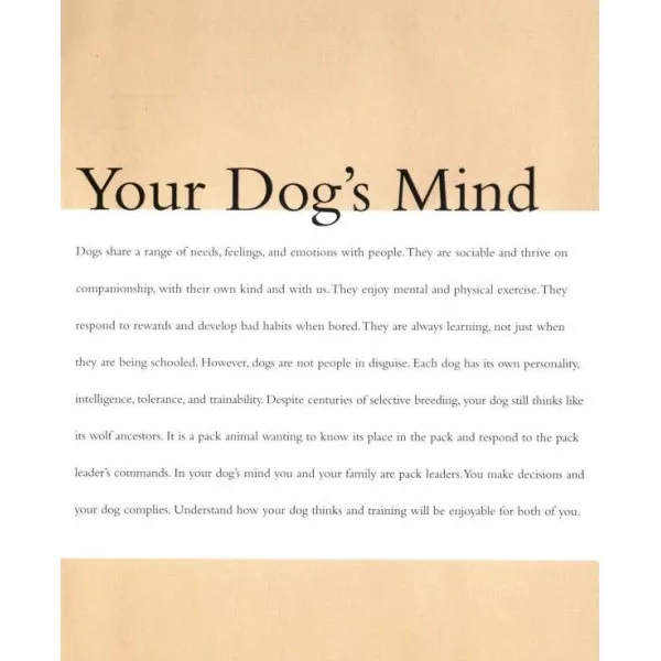New Pocket Dog Training