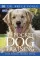 New Pocket Dog Training
