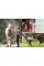 Complete Horse Care Manual