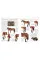 Complete Horse Care Manual