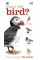 What's That Bird?