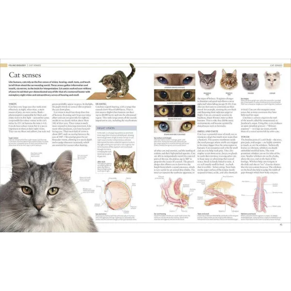 The Cat Encyclopedia