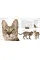 The Cat Encyclopedia