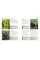 RHS Grow Fruit and Veg Guide