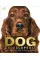 The Dog Encyclopedia