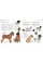 The Dog Encyclopedia