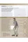 Core Strength Training