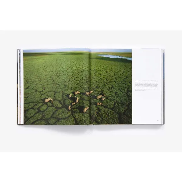 The Human Planet . Earth at the Dawn of the Anthropocene