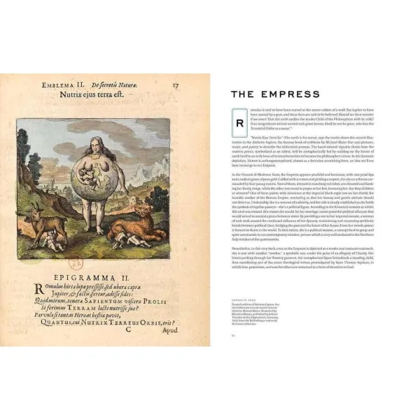 Tarot and Divination Cards : A Visual Archive