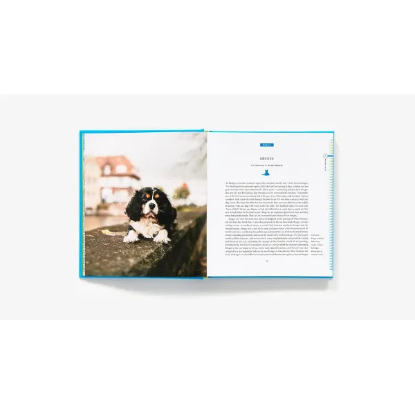Fifty Places to Travel with Your Dog Before You Die