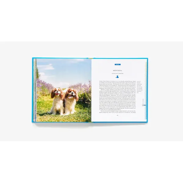 Fifty Places to Travel with Your Dog Before You Die