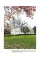 Walk With Me: Hamptons