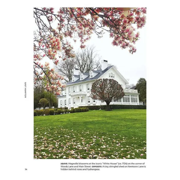 Walk With Me: Hamptons